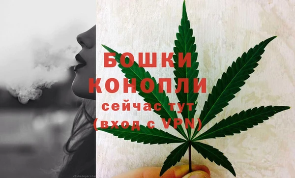 spice Козельск