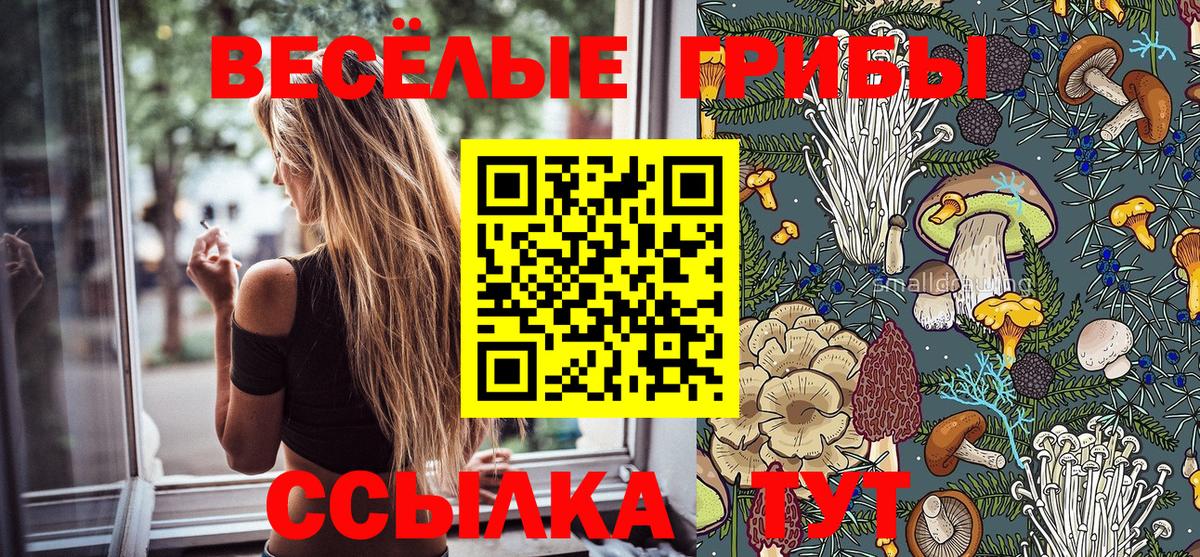 Кушва  Псилоцибиновые грибы Psilocybe  Галлюциногенные грибы ЛСД  как найти закладки  Вход с VPN 
